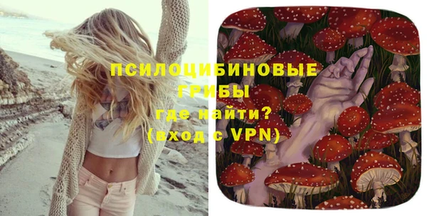 кокаин Богданович