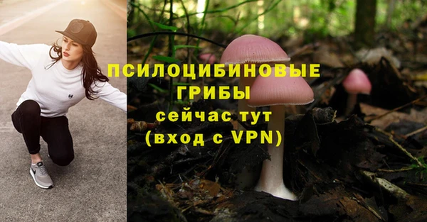 герыч Богородицк